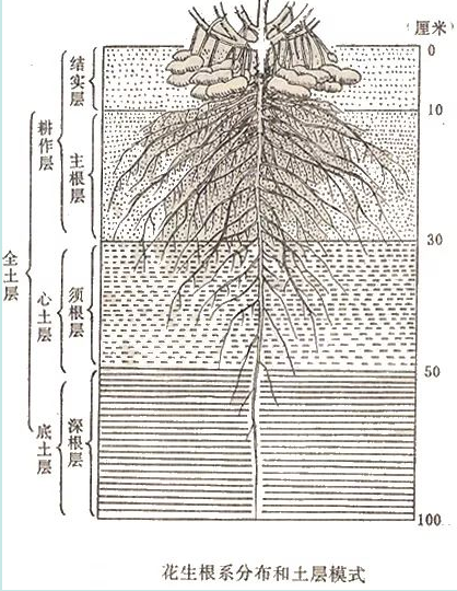信息速遞插圖1.png